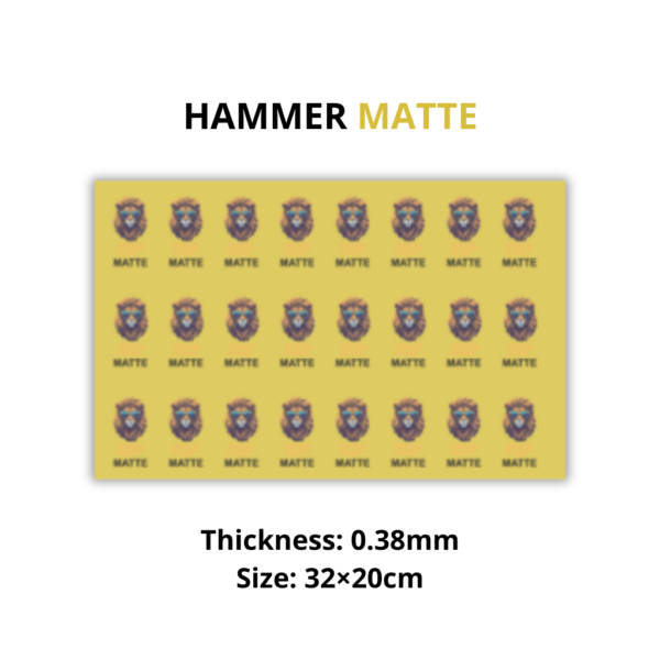 MSP - PET - MATTE - 0.38mm - 31×20cm