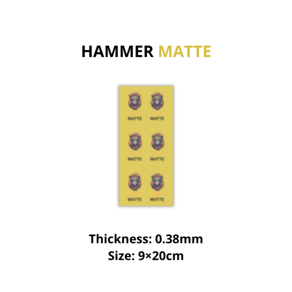 MSP - PET - MATTE - 0.38mm - 9×20cm